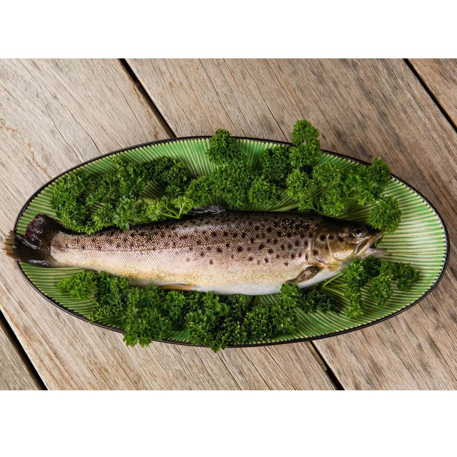 Fresh Whole Rainbow Trout Average Weight 350g