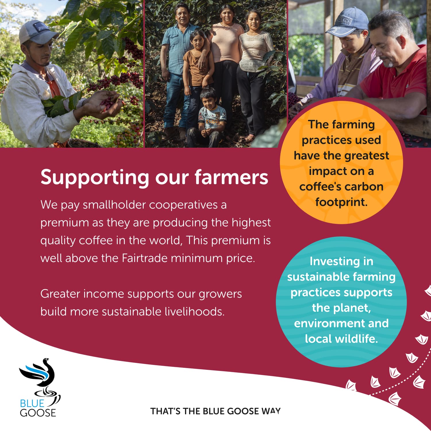 Eco Coffee Pod Advent Calendar 2023