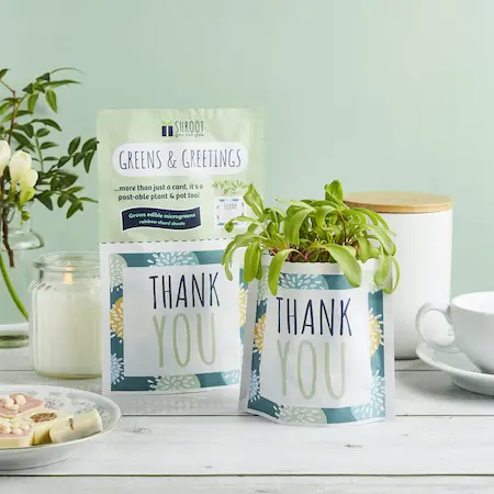 MICRO HERBS & MICRO GREENS