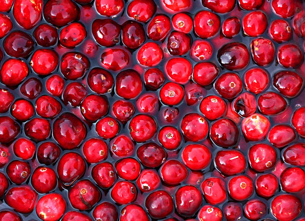 Cranberries: The Ultimate Health Food