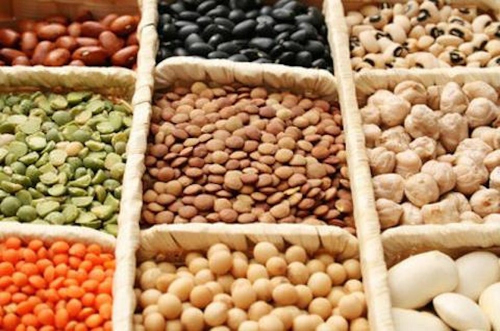 Plant Foods Have a Complete Amino Acid Composition