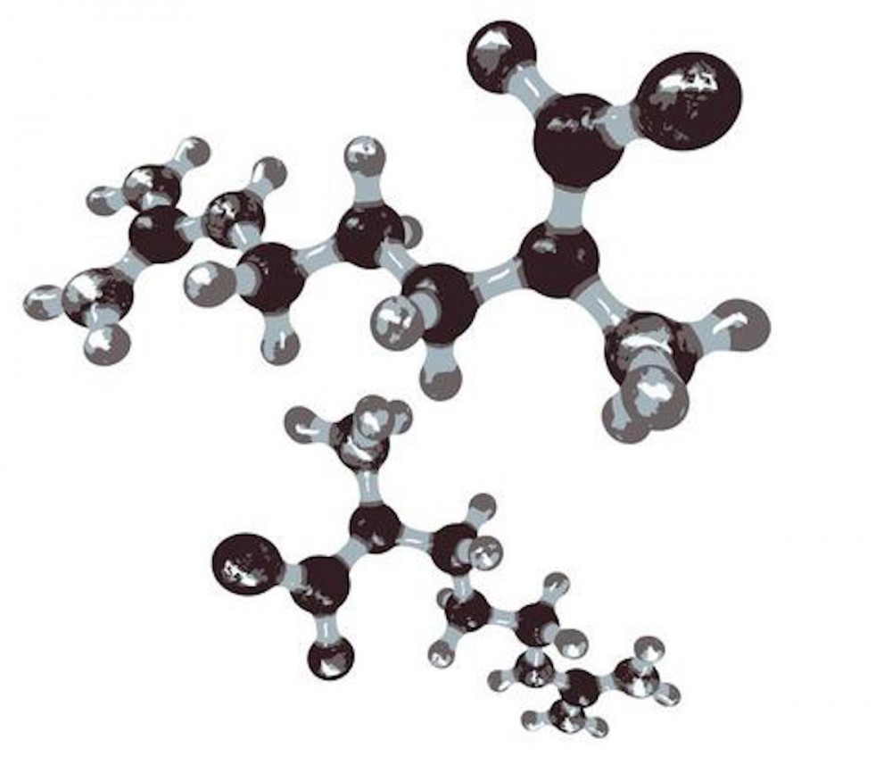 EXPLAINING AMINO ACIDS. WHAT ARE THEY? WHAT DO THEY DO? AND HOW MUCH DO I NEED?