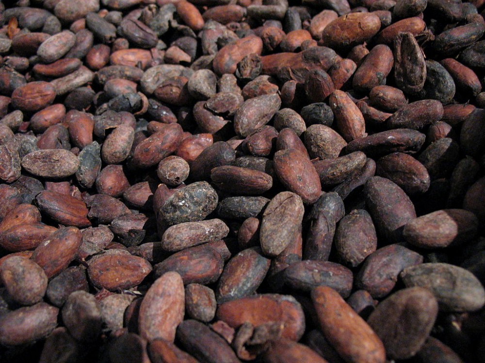 Raw chocolate Vs Regular Chocolate