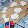 PYO cookies - Paint Your Own Jungle Animal Cookies Gift Set