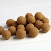 Aztec Spiced Hazelnuts Aztec Spiced Hazelnuts