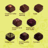 Signature Collection selection of handmade chocolates