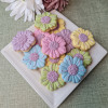 Mother's Day Floral Biscuit Set