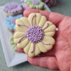 Mother's Day Floral Biscuit Set