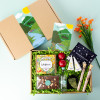 vegan-tea-giftbox