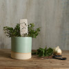 Herb Stripper Plant Marker Stoneware