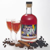 The Hedgerow Sloe Gin kit, makes two bottles