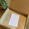 Indulgent Vegan Brownie & Blondie Box