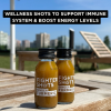 Natural Ginger + Turmeric Shots (12 x 60ml)