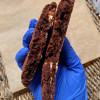 Gluten Free Double Chocolate Cookie