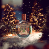 Christmas Snow Globe Spiced Orange & Cranberry Gin Liqueur