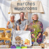Marches Mushrooms