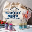 Beach Ready - Mini Signature & Pink Gin Pack with Beach Bag