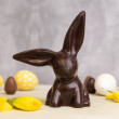 Solid Dark Chocolate Rabbit