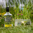 Two Birds Lemongrass Gin