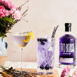 Two Birds Parma Violet Gin