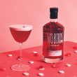 Two Birds Strawberry & Vanilla Gin