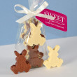 Belgian Chocolate Bunnies