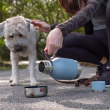 Water bottle flask for humans and dogs with detachable dog bowl