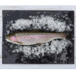 Fresh Whole Rainbow Trout (Average Weight 350g)