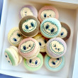 Labubu Monsters Character Themed Macarons - Gift Box of 12