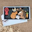 Horse Riding Deluxe Biscuit Box