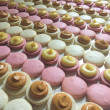 macaron masterclass