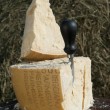 organic parmigiano reggiano