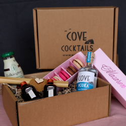 Cosmopolitan Cocktail Kit and Macaron Gift Box