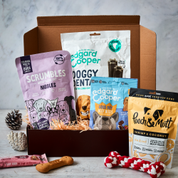 Petite Pooch Gift Box