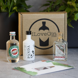 3 European Gins Tasting and Gift Set