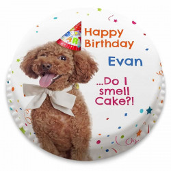 Dog Themed Letterbox Cake