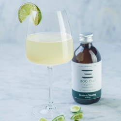 Organic Kombucha, Korean Ginseng to Boost - 12 x 330ml