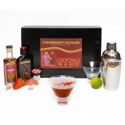 Cocktail in a box - Strawberry Daiquiri (incl. 2 glasses and shaker)