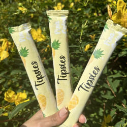 boozy ice lollies