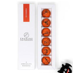 Pumpkin Pie Chocolates for Halloween