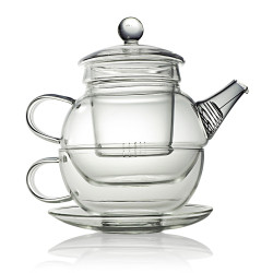 Una Glass Teapot for One 450ml with Cup 250ml