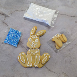 Bertie Bunny DIY Kit