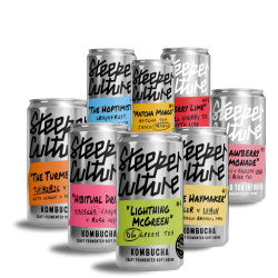 Kombucha Mixed Case (24 x 250 ml cans)