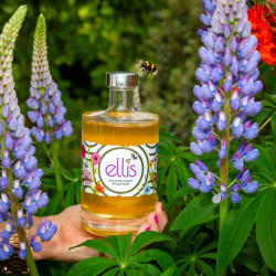 Ellis Honey Spiced Rum 50cl Bottle