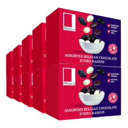 Assorted Chocolate Coated Jumbo Raisins (Pack of 10 x 65g)