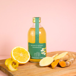 Ginger & Lemon Kombucha - Case of 6