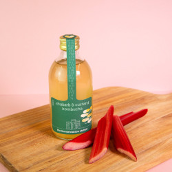 Rhubarb & Custard Kombucha - Case of 6