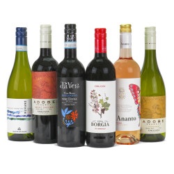 Organic Wine Mixed Case - 6x75cl Worldwide Wines