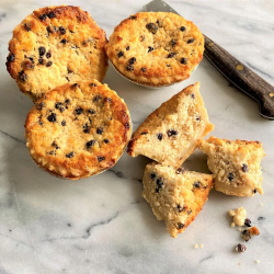 Freshly Baked Yorkshire Curd Tarts - Pack of 4