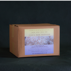 Lion's Mane Mushroom Grow Kit